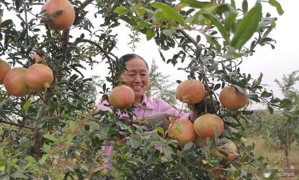 南水北调中线渠首诗画淅川第七届全国摄影大赛启事