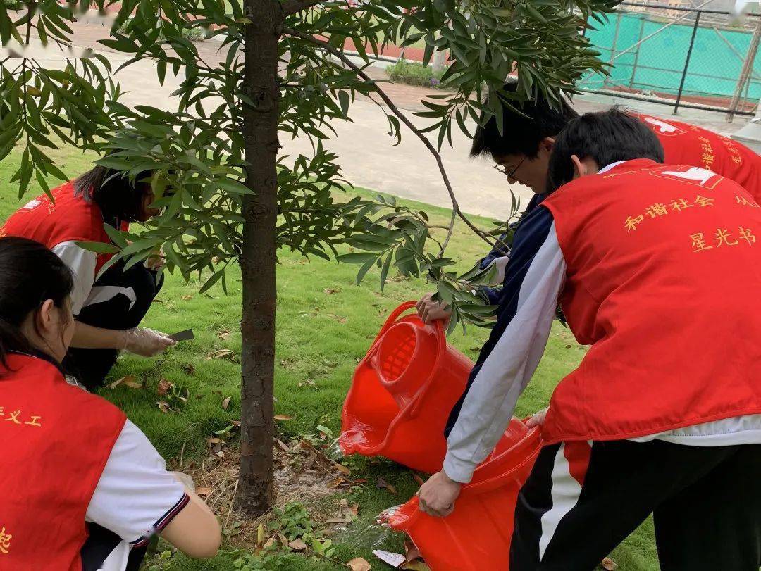 基层动态峡晖中学团委会开展志愿建功行喜迎二十大2022年学雷锋志愿