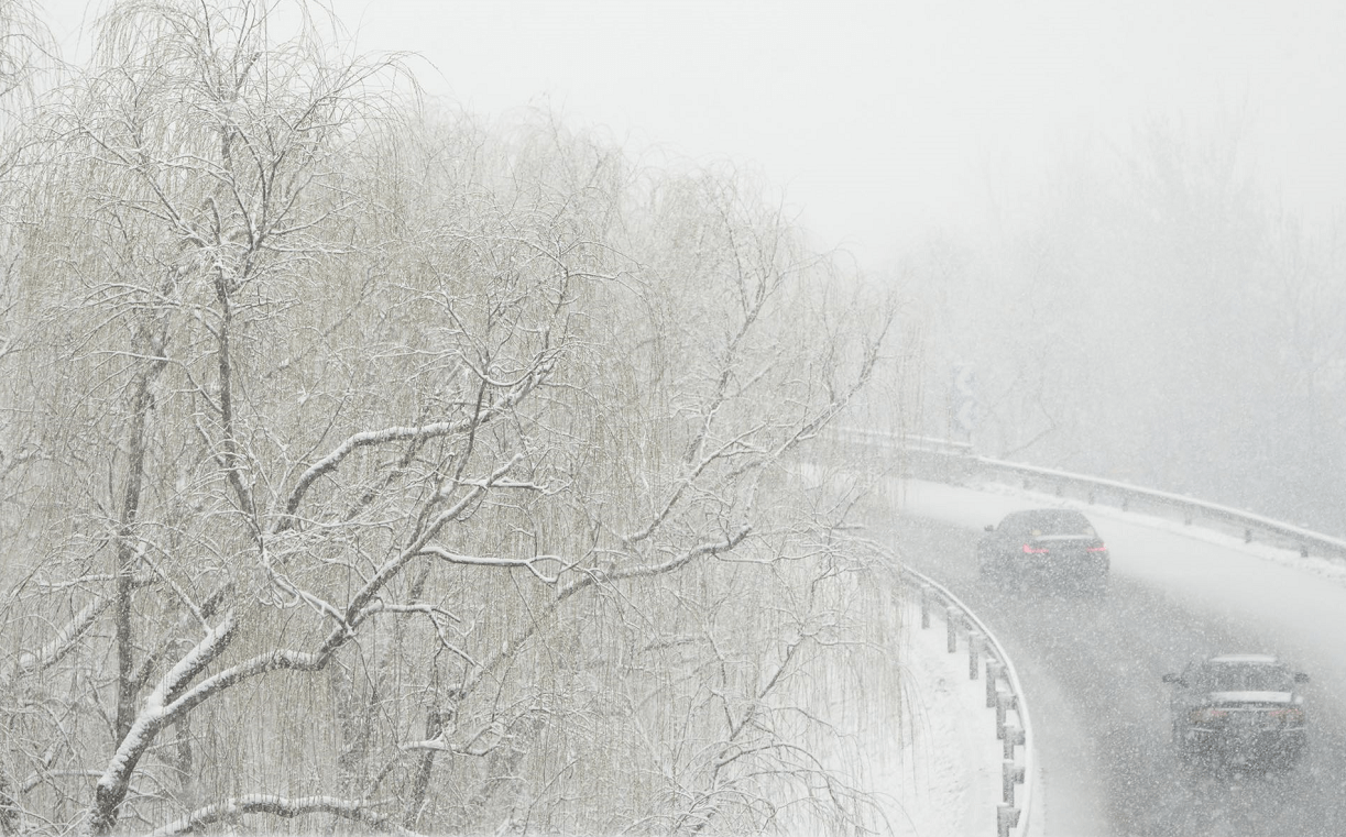 雪景|好大一场雪！下班路上的你，是不是也在欣赏雪中美景？