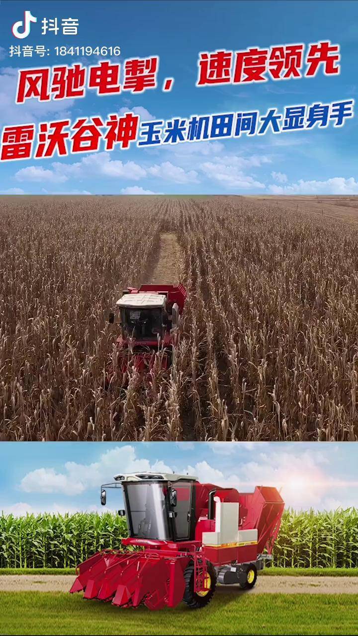 风驰电掣速度领先雷沃谷神玉米机田间大显身手玉米收割机雷沃谷神农机