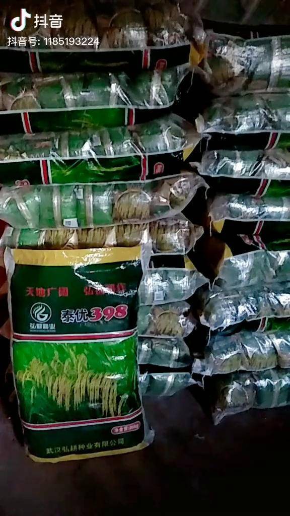 订单加价回收品种泰优398第一批货到了提前签订收购合同可购5斤送1斤