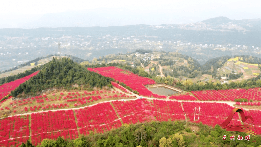 我们把春天拍下来送给你_巴中市_朱继钊_苏山