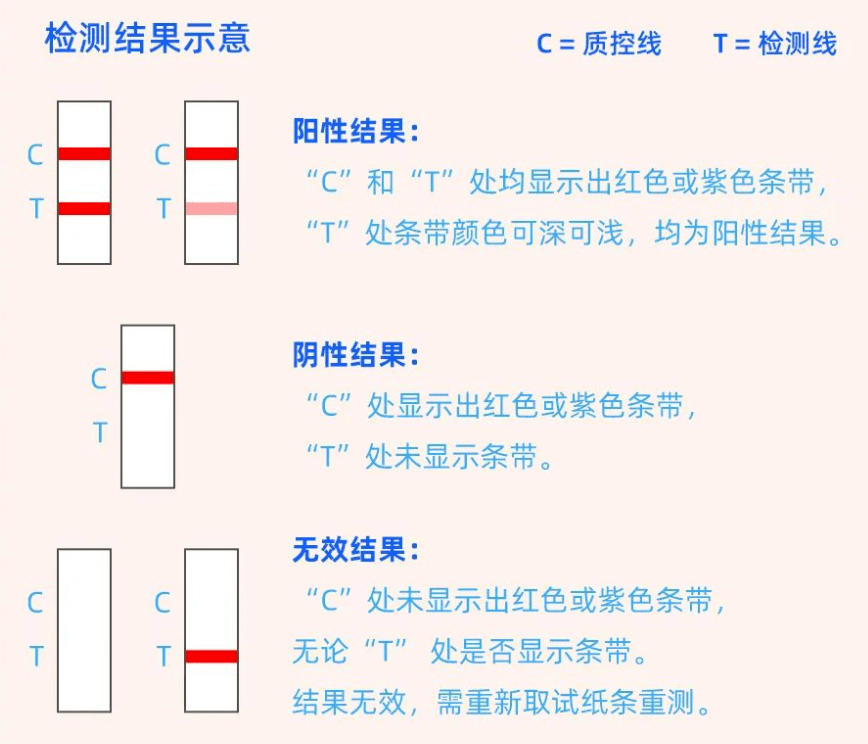 核酸检测结果示意图图片