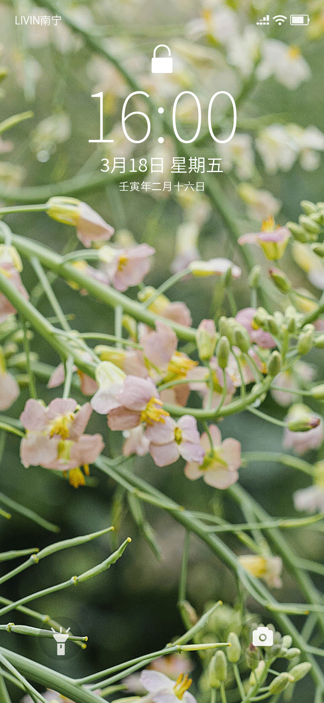 蜜蜂|避开人群，到园博园看最后的春天