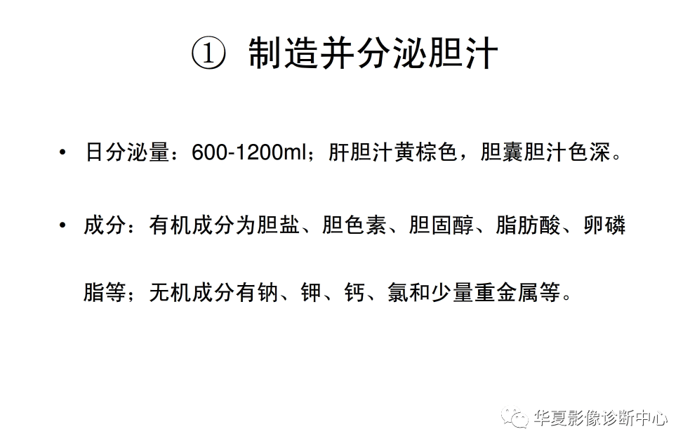 解剖|肝脏影像学与系统解剖