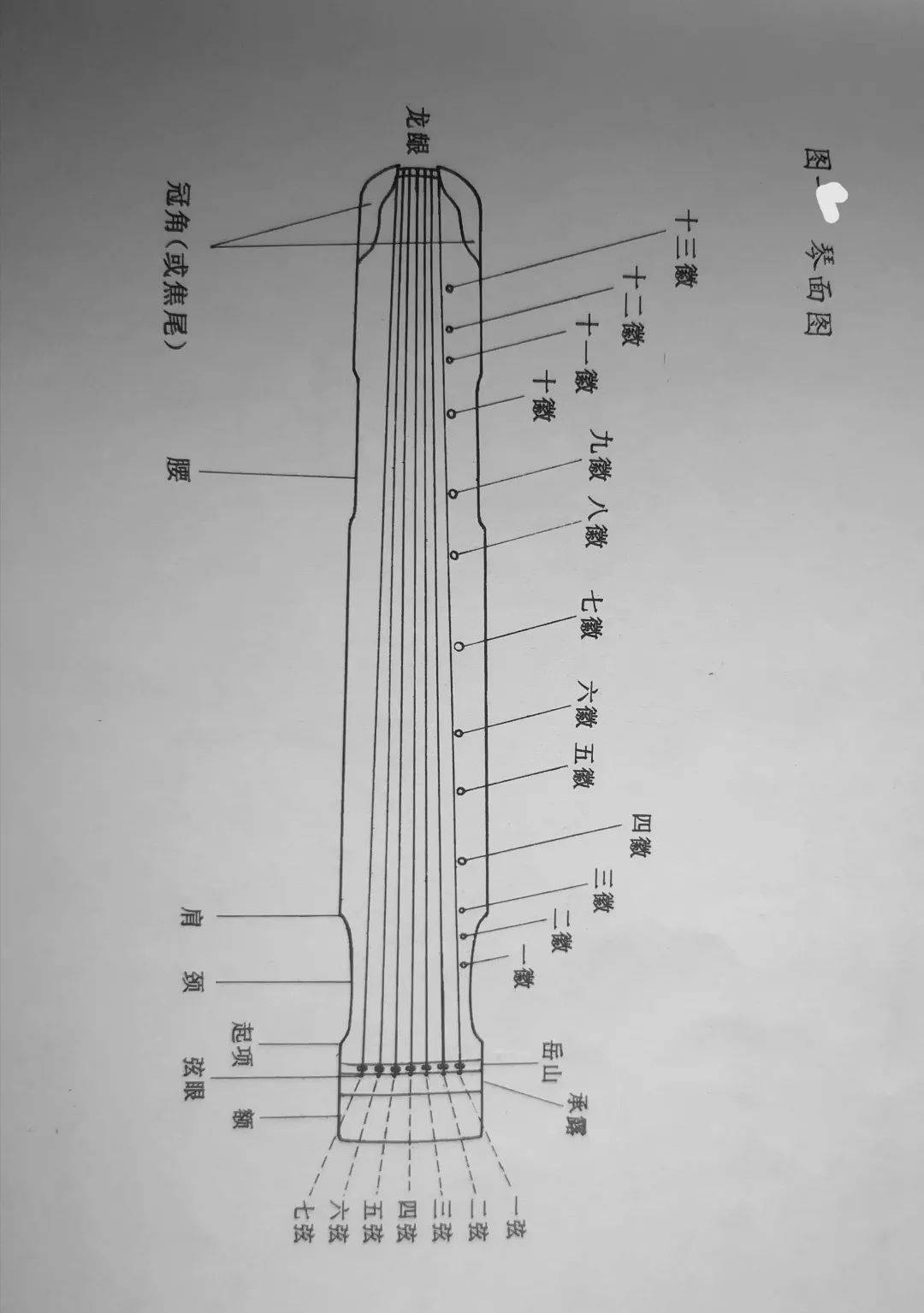 勾,剔,抹,挑,打,摘,托,劈左手:大拇指,中指,食指,无名指,跪指古琴的