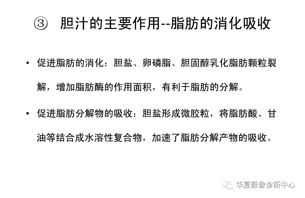 解剖|肝脏影像学与系统解剖