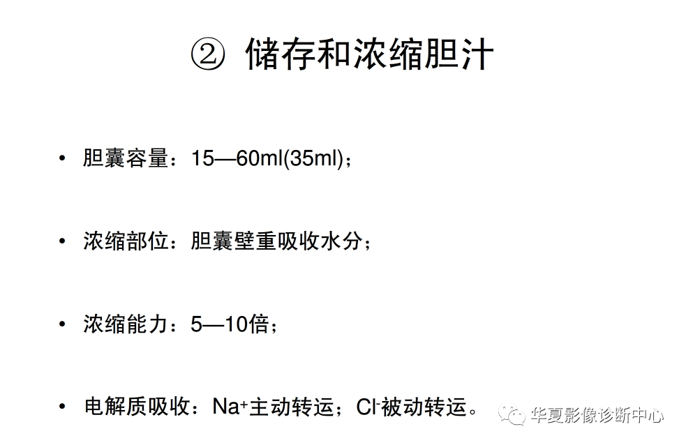 解剖|肝脏影像学与系统解剖