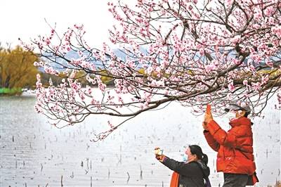 新华社|雪后现晴空 春到颐和园