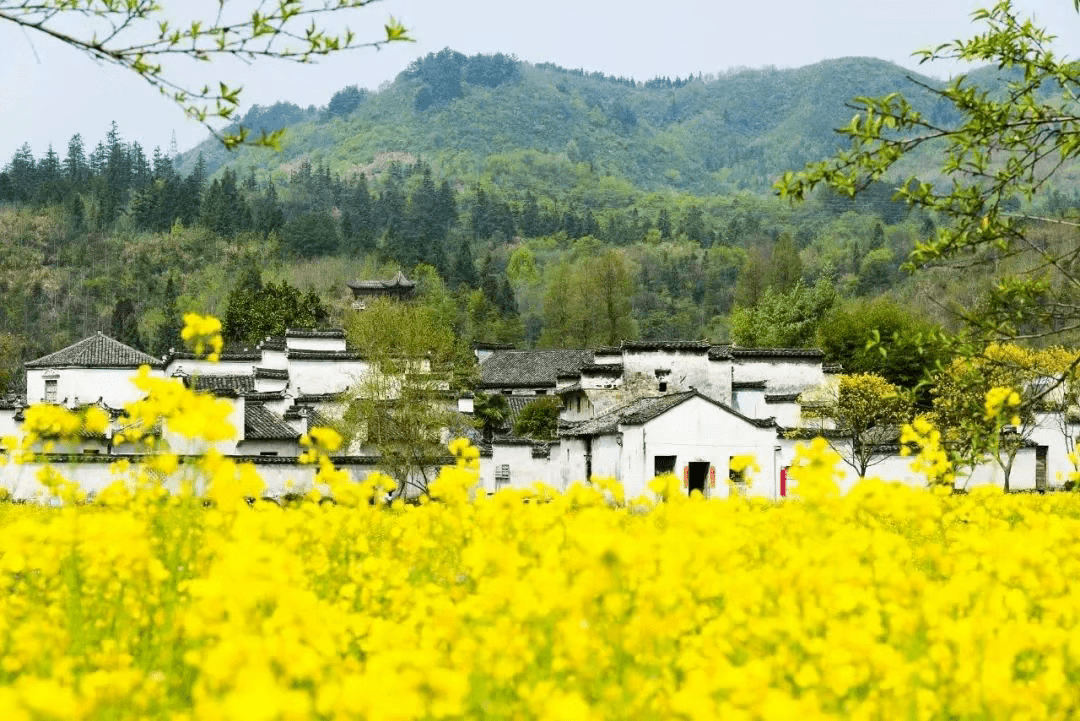 目的|今日春分：春季勤锻炼，静待花开疫散！