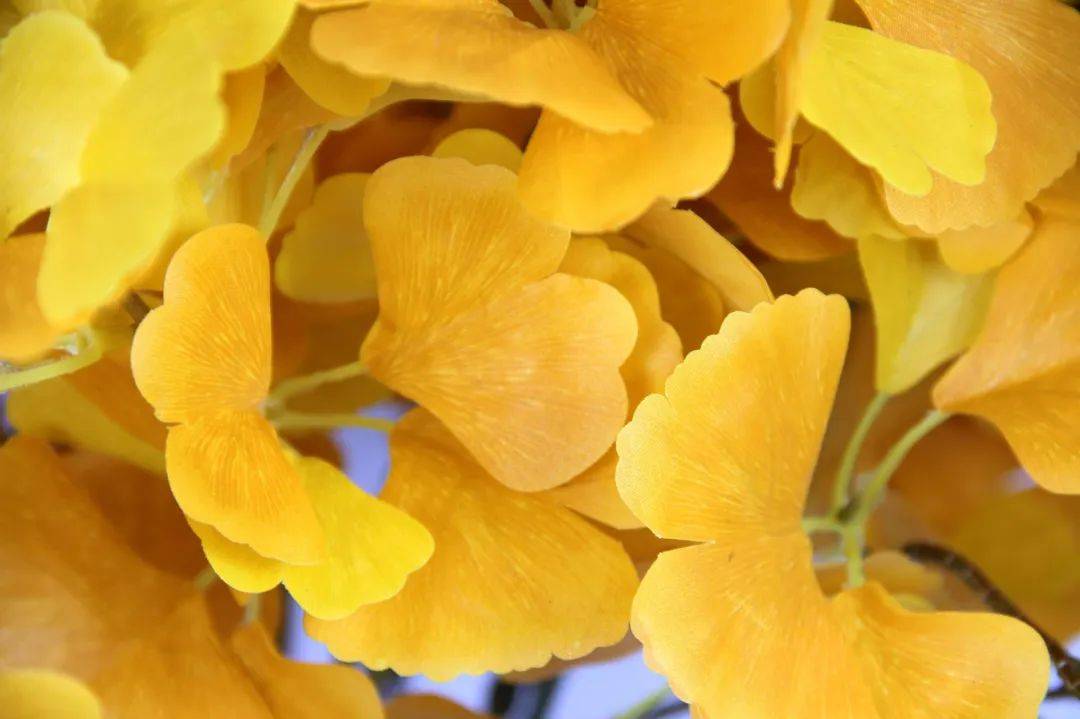 三焦|广东平均睡眠时间23:55！昨晚，你睡得好吗？