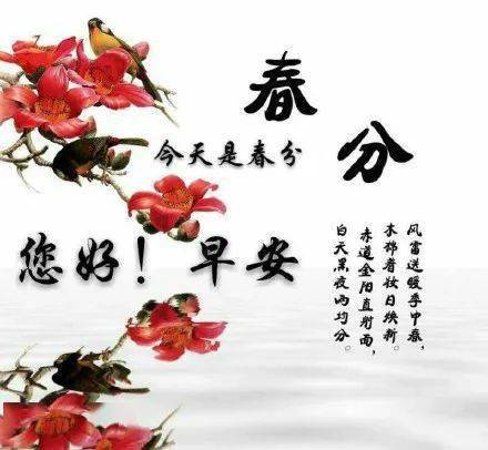 3月日 春分最漂亮的一段话 世界 都能 时日 3月日 春分最漂亮的一段话 世界 都能 时日