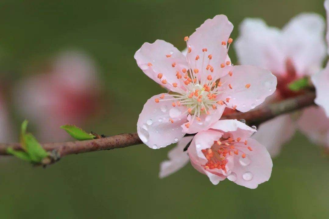 于春花秋月间,淡看岁月流转;于流水禅心下,静默诗和远方,感受每一月每