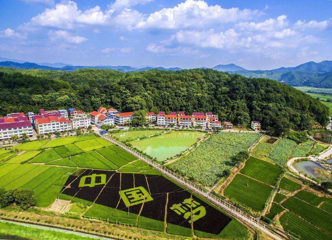 沙县俞邦村:"小吃第一村"的幸福滋味