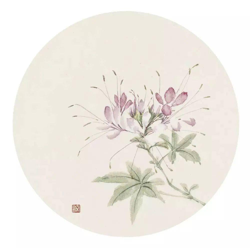 宋秦晋的没骨画花卉99幅清雅恬静如梦境般虚幻