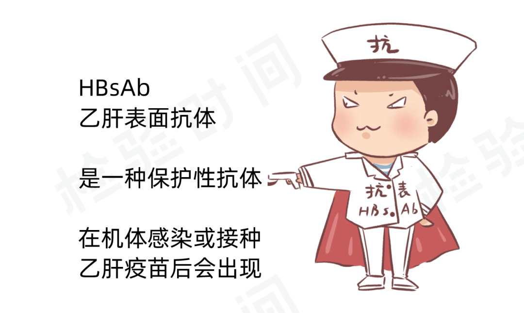 乙肝两对半到底怎么看漫画教你轻松读懂24种组合