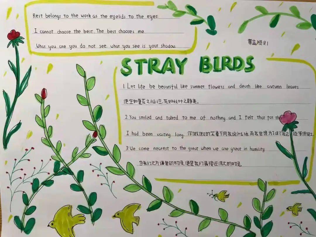 冬奥感悟 冬奥手抄报together for a shared future(杨知音):beijing