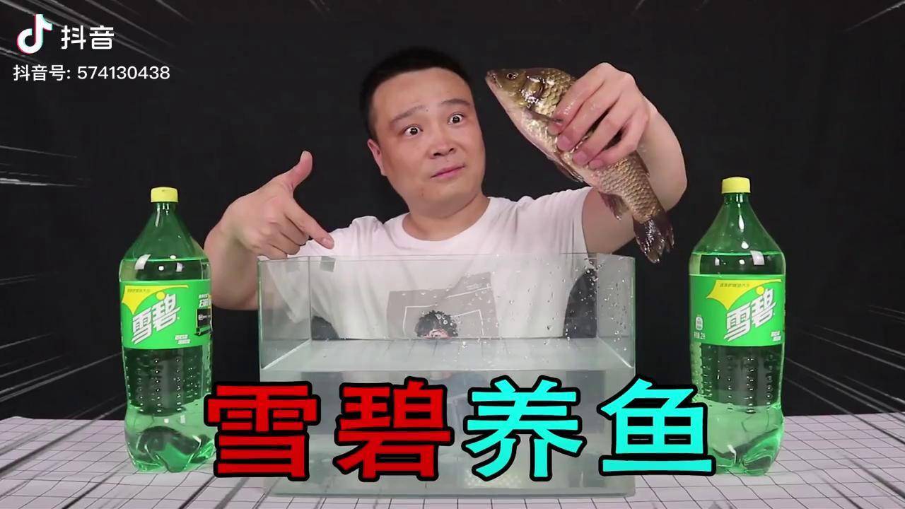 小浪哥把鱼放进装满雪碧的鱼缸里会发生什么还能存活吗雪碧养鱼