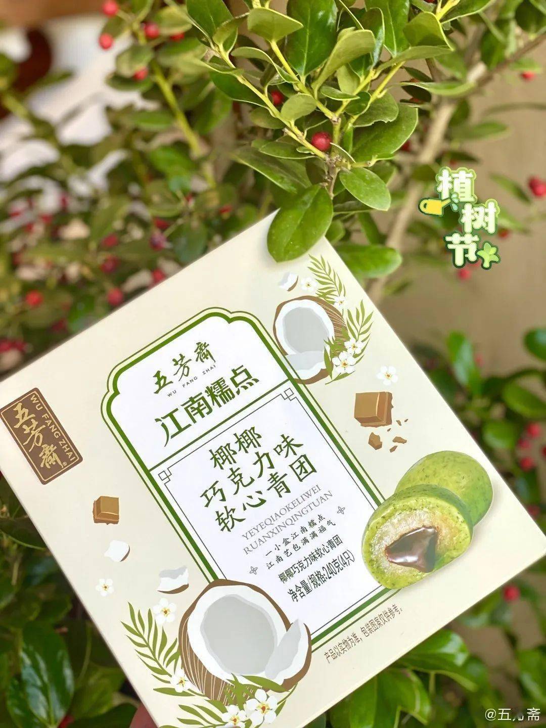 品牌吃一口春天！泸溪河、五芳斋等的青团包装设计，超有春日氛围感！
