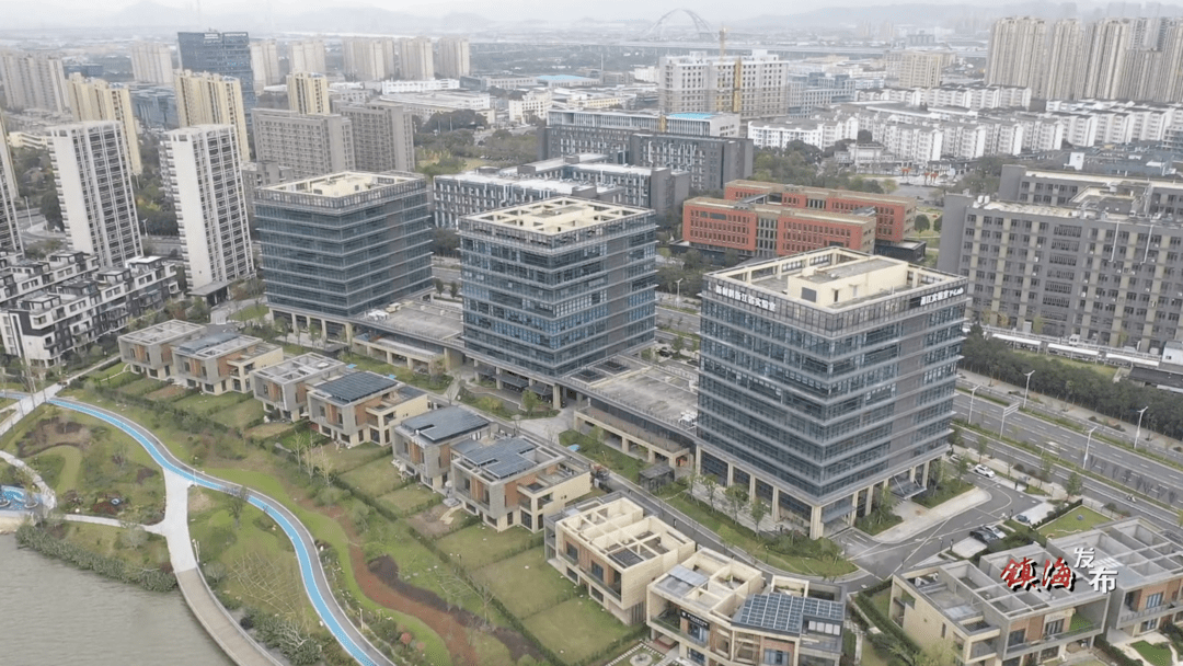 金燕奋力谱写庄市科创策源品质城区新篇章