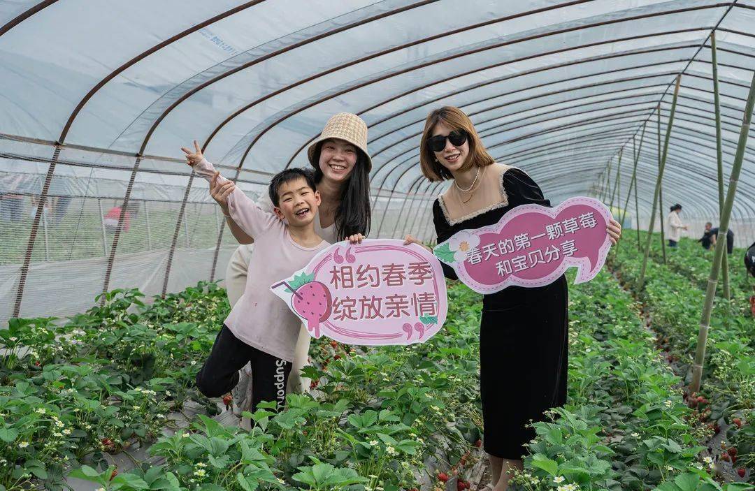 女神节摘草莓主题图片