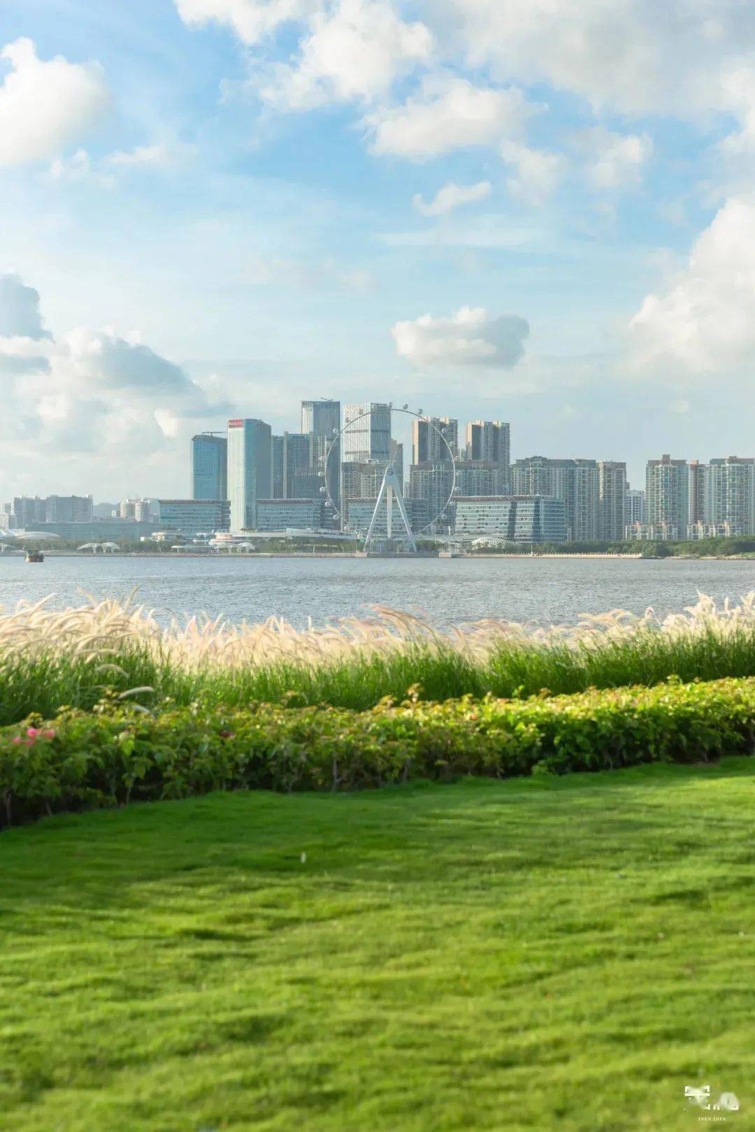 深圳10條絕美海岸線,解封就衝_湖村_楊梅坑_海景