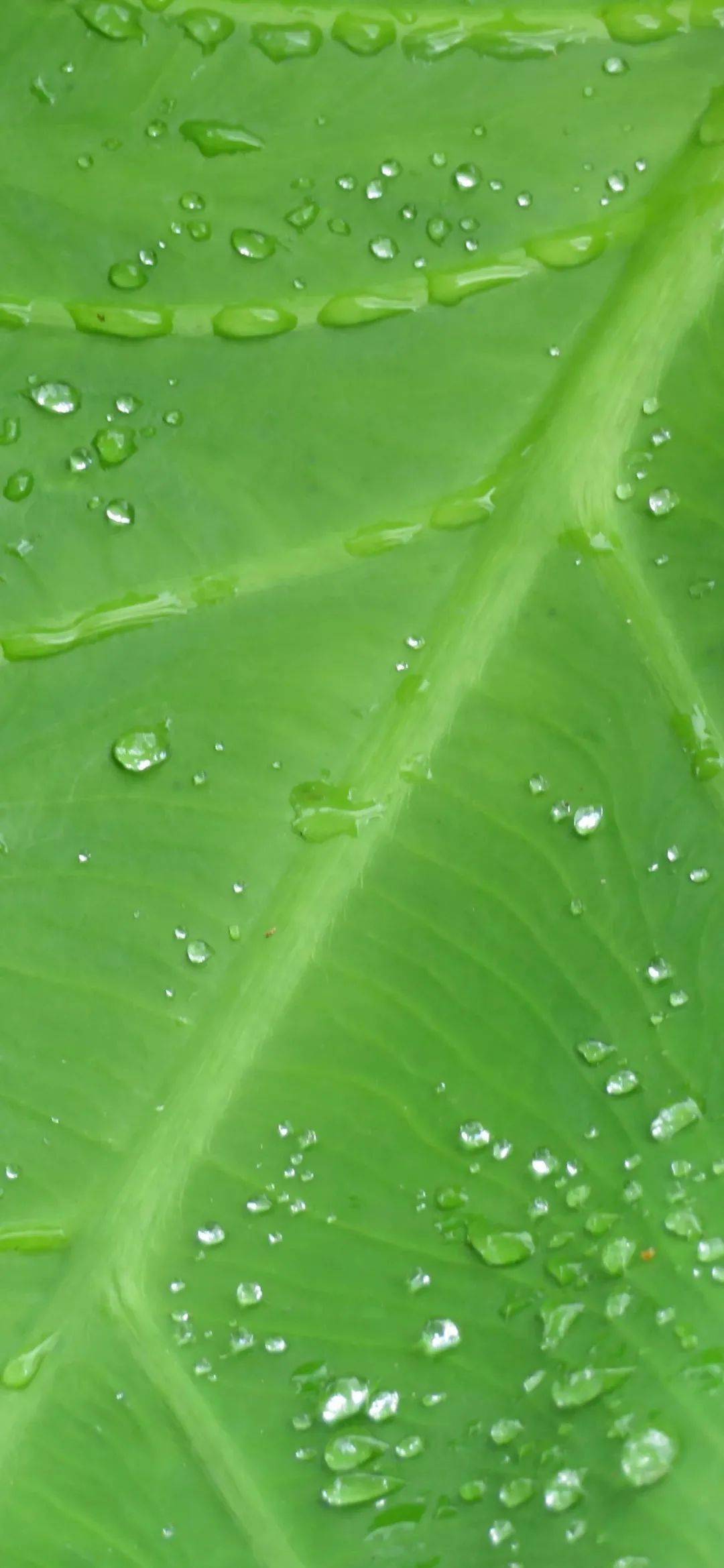 壁纸换一张走进你心里的手机壁纸