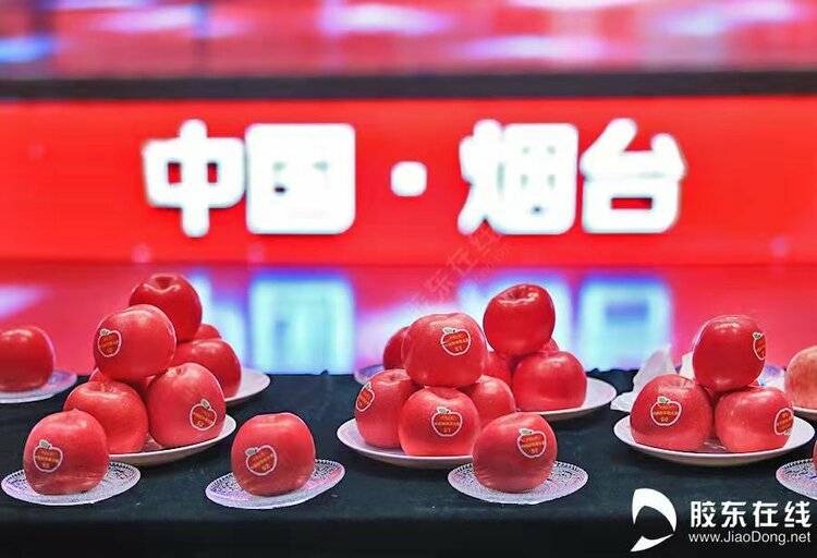 春天的烟台：聚“智”向未来 聚“力”再出发