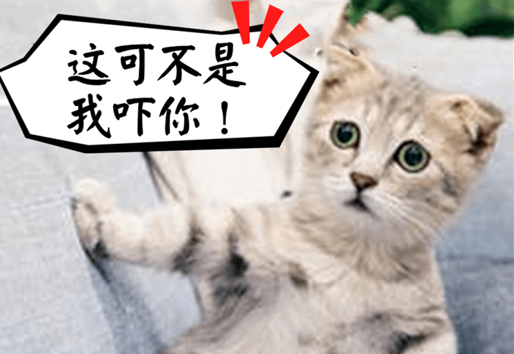 关键词 |胎心,胎芽在怀孕40天左右,超声检查能看到0.