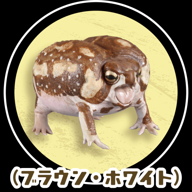 Frog|模玩资讯：SO-TA 拟真生物第四弹 1/1 散疣短头蛙&蜡白猴树蛙扭蛋