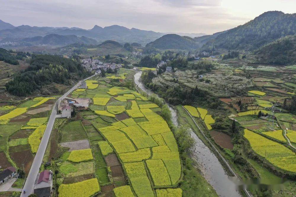 新華社丨重慶秀山田園春色美麗畫卷