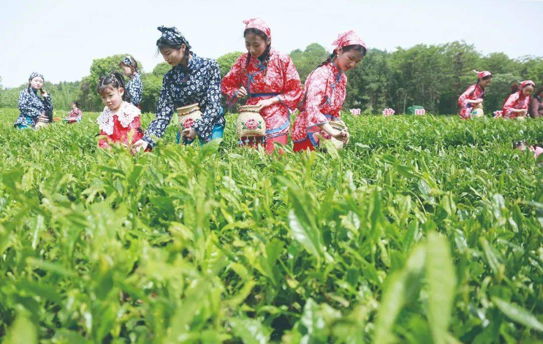 陸羽_茶文化_故園