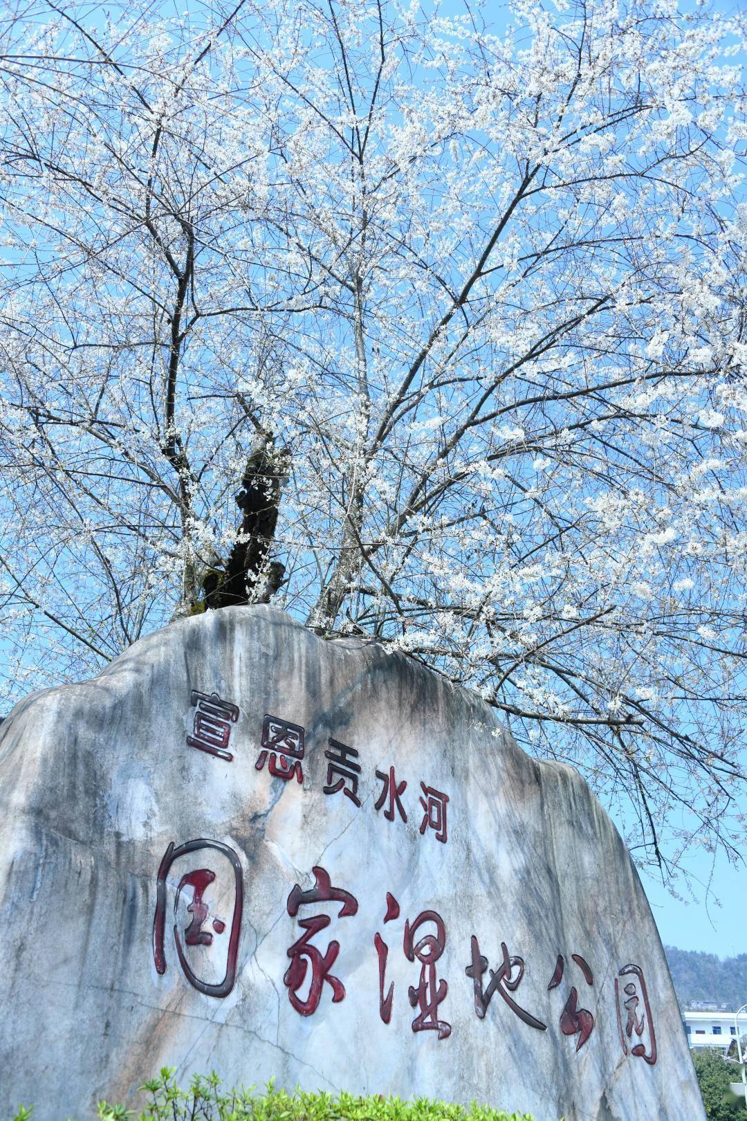 区矅天眼景区九子抱母乡村旅游点萨玛长潭旅游区