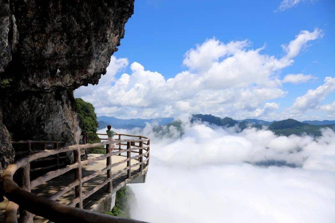 本人有效证件|龙头山景区3月25日恢复开园！免门票活动来袭！