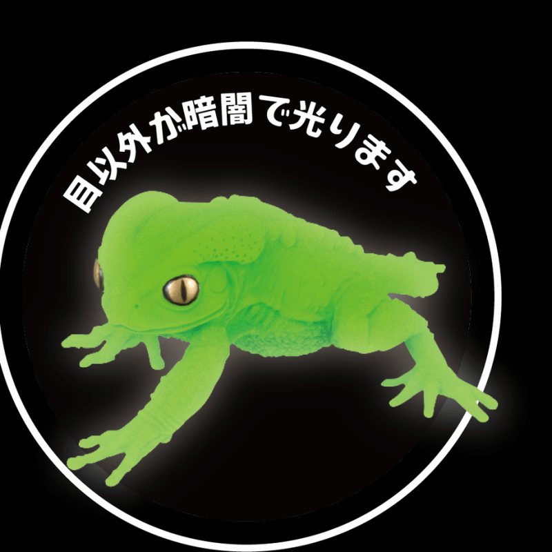 Frog|模玩资讯：SO-TA 拟真生物第四弹 1/1 散疣短头蛙&蜡白猴树蛙扭蛋