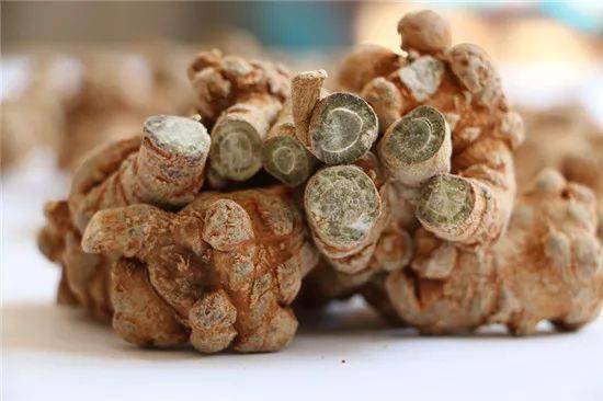 吃三七粉的朋友必看你不可不知的八大禁忌吃错太伤身