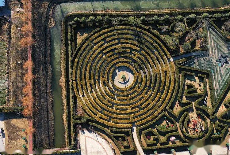 盐城旅游年卡 大丰梦幻迷宫_墙壁_造型_同心圆
