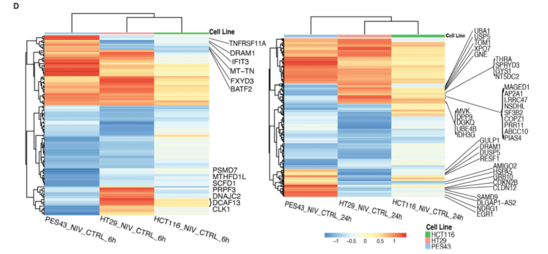 细胞|JITC：颠覆认知！科学家首次发现PD-1抑制剂竟保护特定肠癌细胞，促进结直肠癌生存，免遭放化疗杀伤丨科学大发现