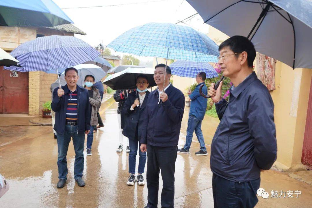 昆明市政协领导到安宁调研