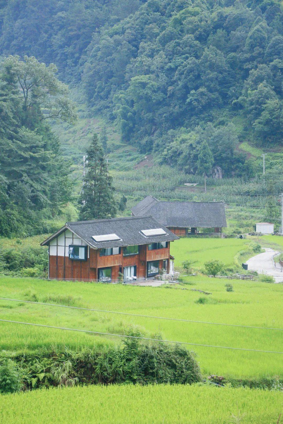 跟着你好生活打卡世外桃源里的民宿丨贵州习水隐居乡里梧桐山