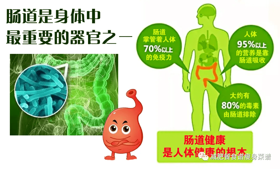 丰胸吃啥食物能长得快_吃什么食物能使人变胖_脾胃虚吃什么食物能长胖