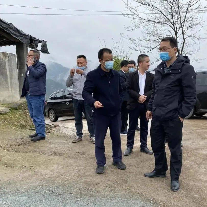 杨鹏调研指导春耕备耕、产业发展、疫情防控等工作_情况_人居_杨鹏