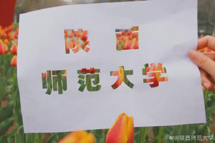 陕西师范大学|春日限定浪漫！陕师大郁金香花海，好靓！