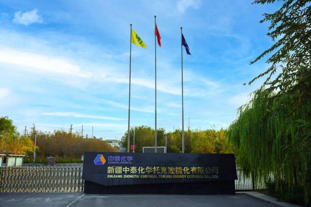 新疆中泰化学托克逊能化有限公司大门一角三月的风城托克逊,大地