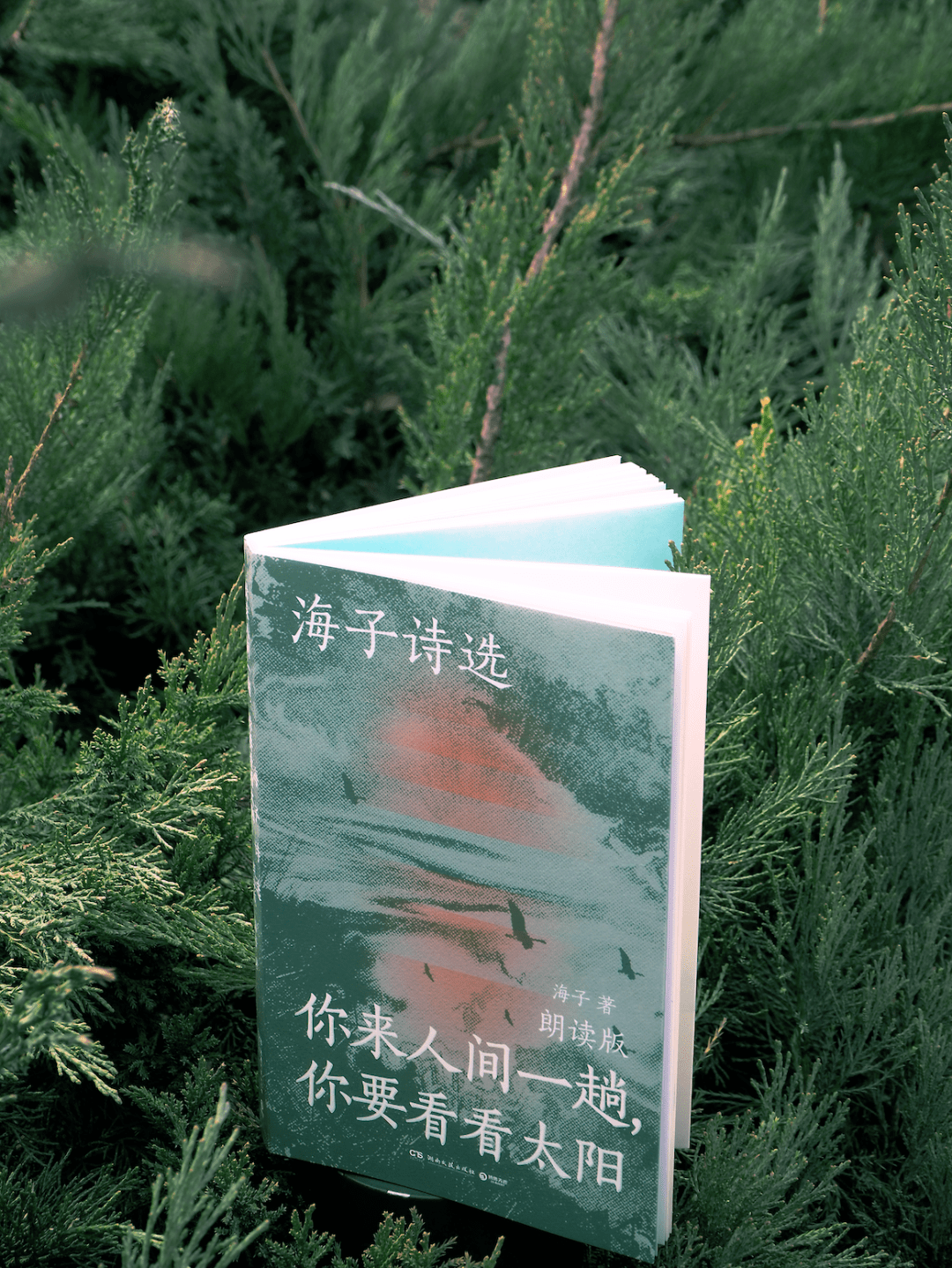 赠书| 春天,十个海子全部复活_太阳_诗歌_诗选