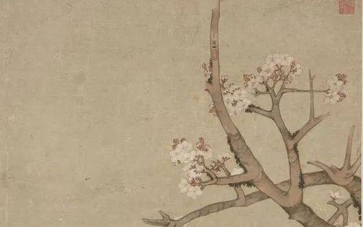 语气|漂泊在外的每个春天都在想，不知家乡的杏花开了没有丨周末读诗