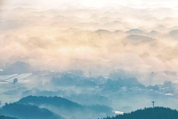 海子今夜我不關心人類我只想你