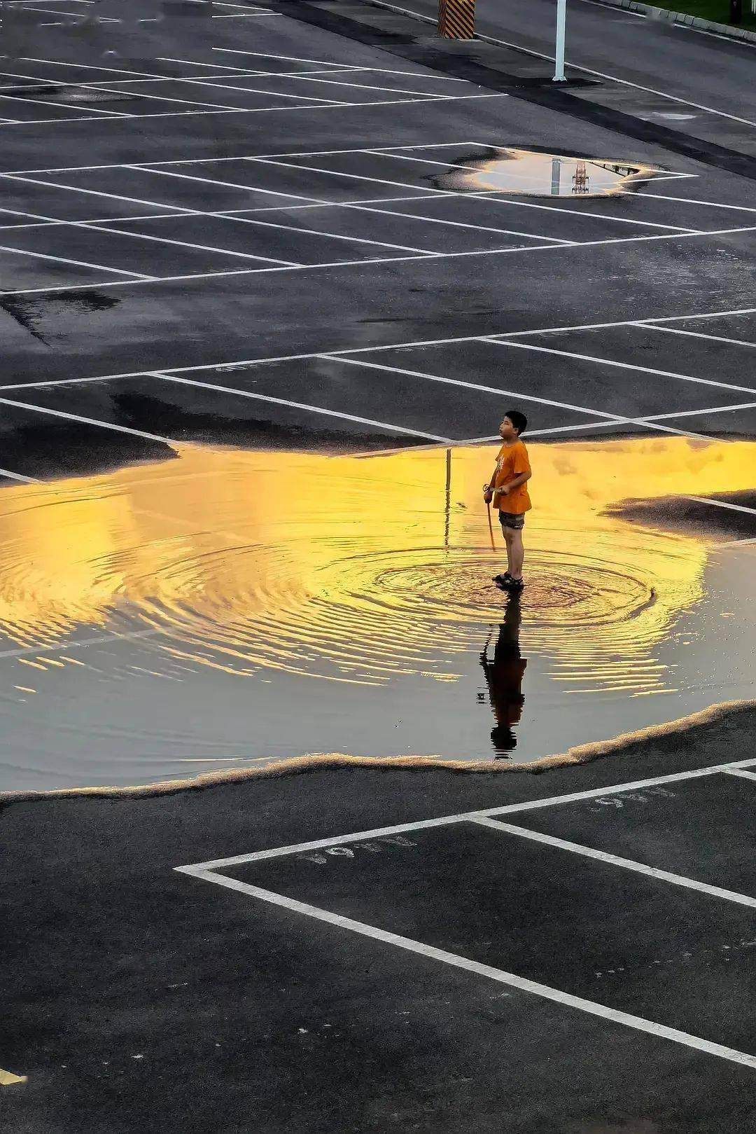 photo服气！豆瓣上的「民间摄影大神」太会拍了！