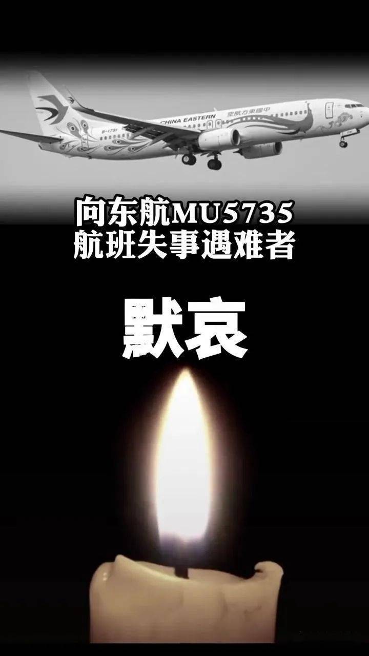 悼念东航MU5735图片