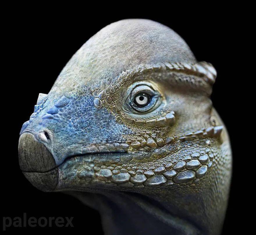 巨猿狼蜥兽雷神翼龙矛颌翼龙三角龙始祖鸟泰坦鸟腕龙熊齿兽迅猛龙异特